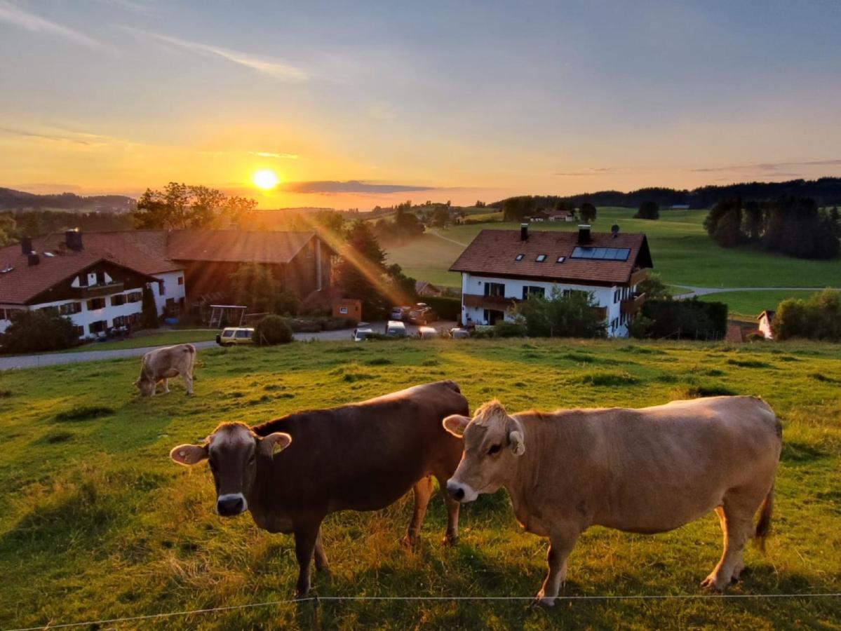 Ferienhof Hefele Appartement Hopferau Buitenkant foto